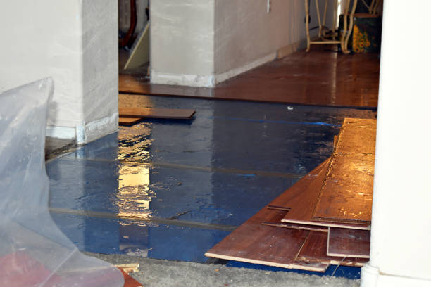 Professional Flood Damage Repair technician working in Hobucken, NC